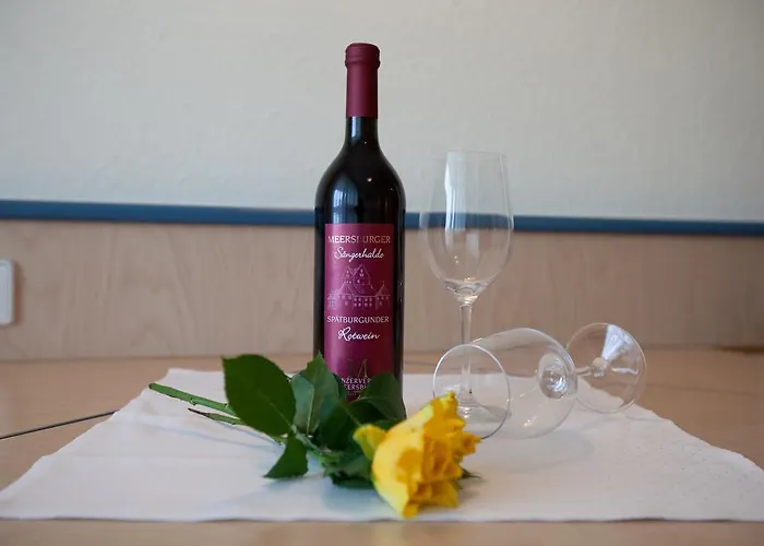 Ξενοδοχείο Wellnesshotel 4*